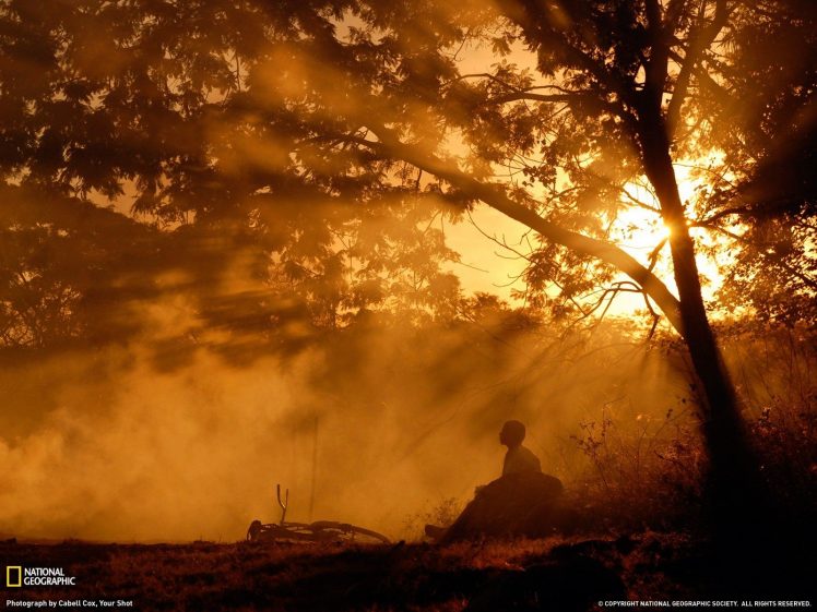 National Geographic, Trees, Sun rays, Mist HD Wallpaper Desktop Background