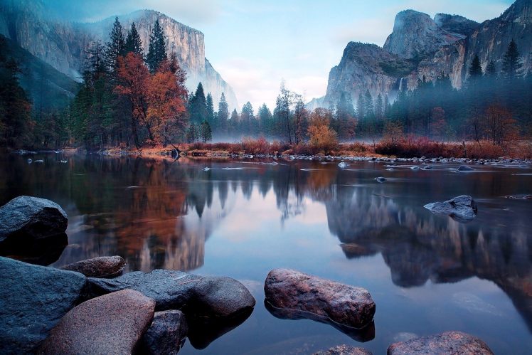 mist, Trees, River, Mountain HD Wallpaper Desktop Background
