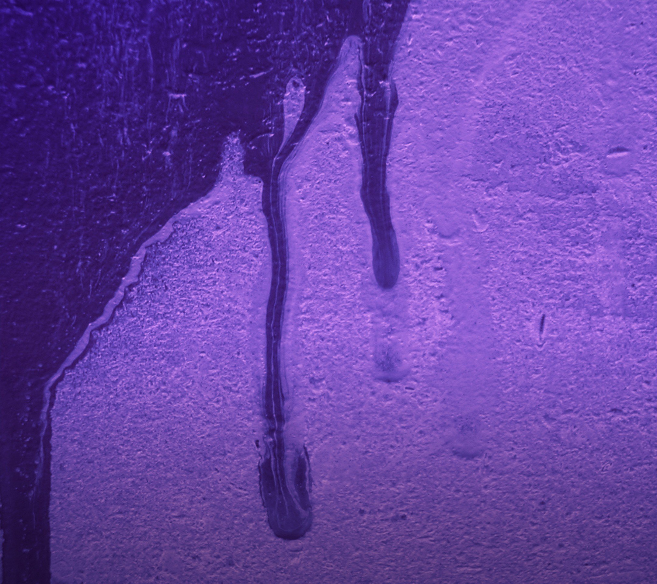 purple Wallpaper