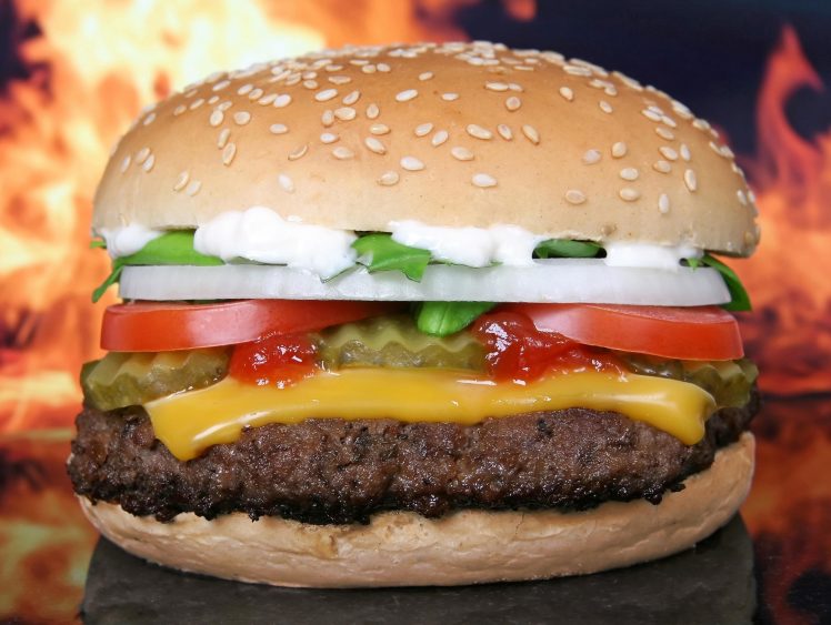 food, Fast food, Burger, Burgers HD Wallpaper Desktop Background