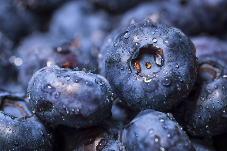 macro, Blueberries, Fruit, Water drops HD Wallpaper Desktop Background