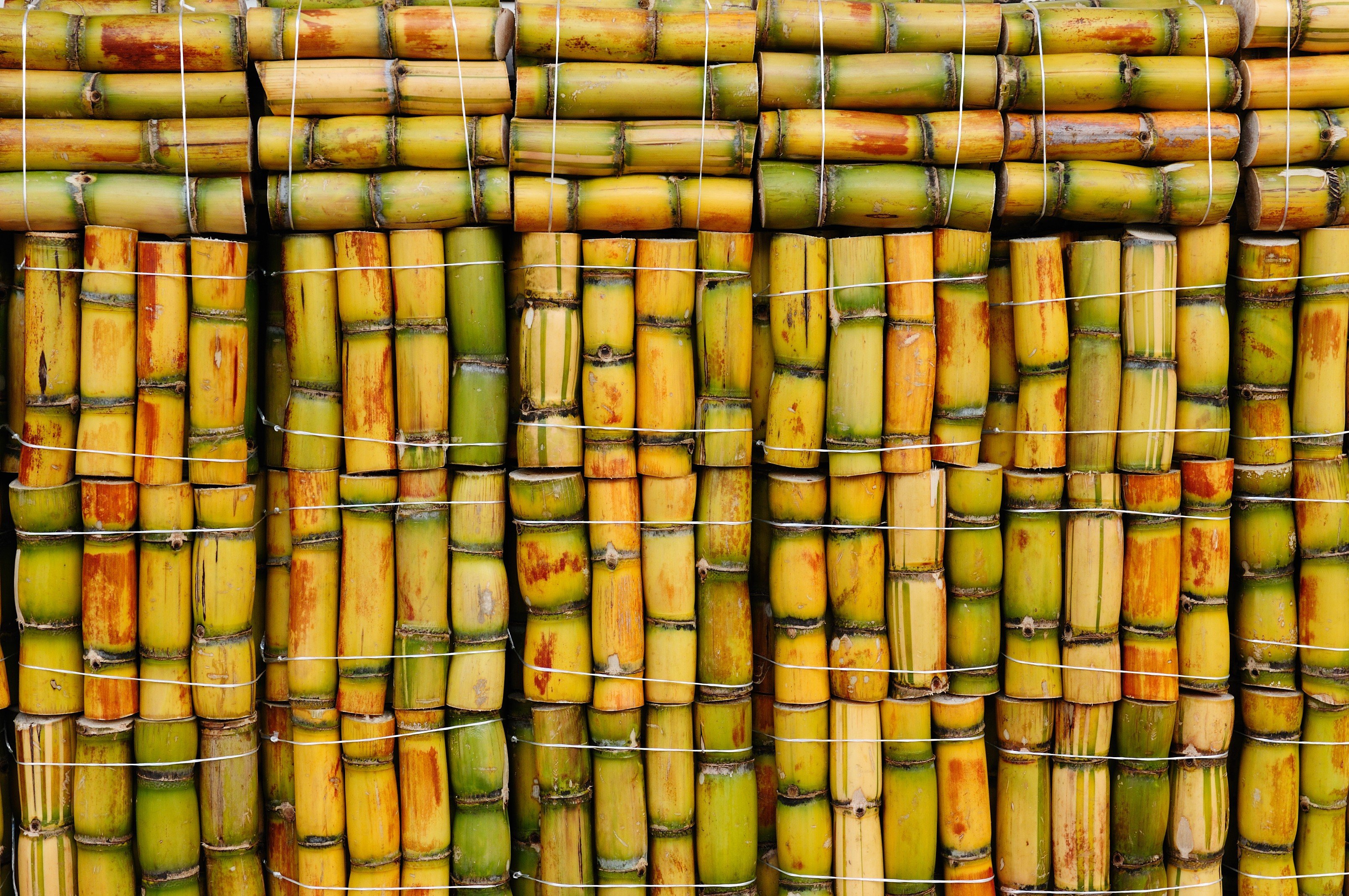 bamboo, Wood Wallpapers HD / Desktop and Mobile Backgrounds