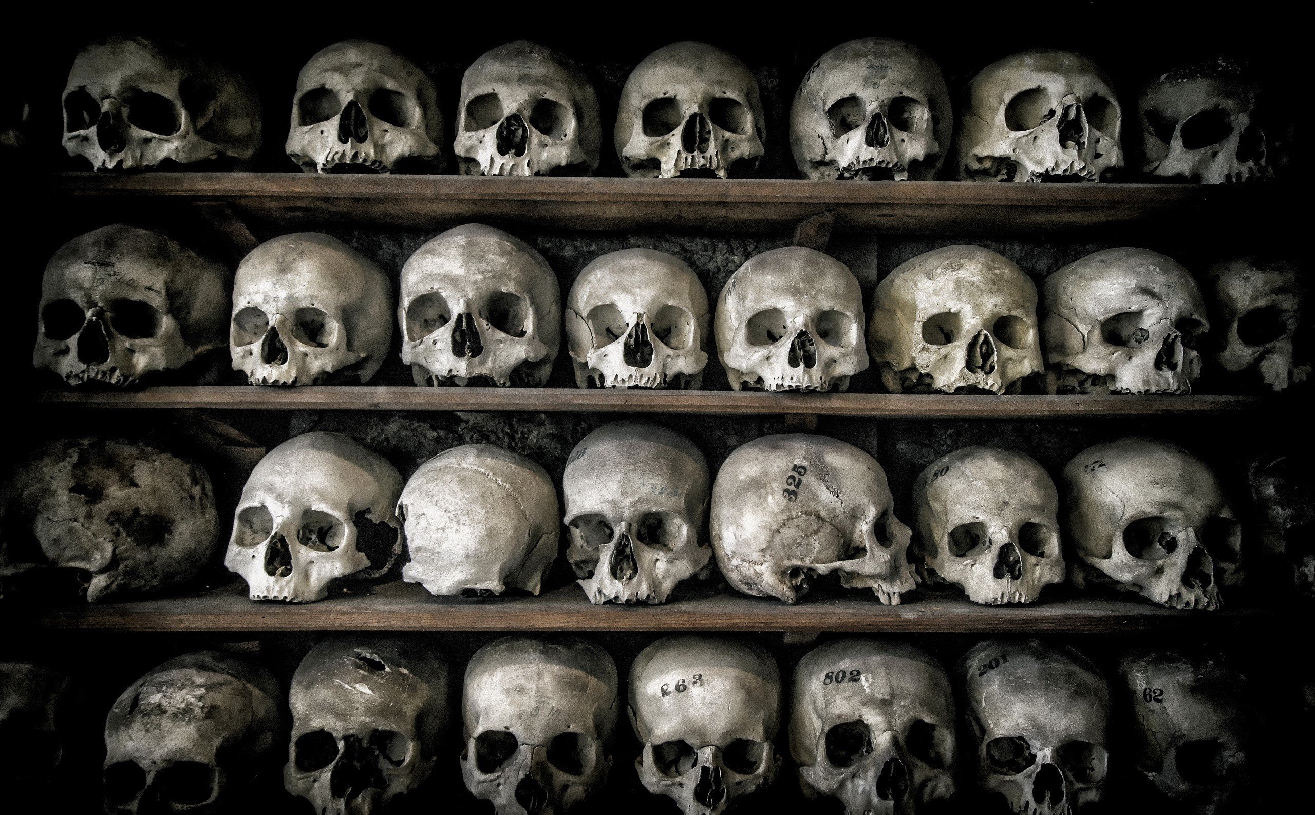 death, Skull, Bones Wallpaper