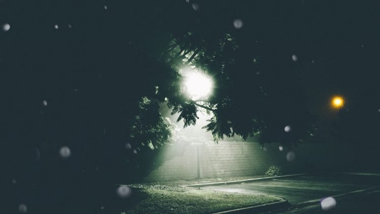 trees, Lights, Parking lot, Glowing HD Wallpaper Desktop Background