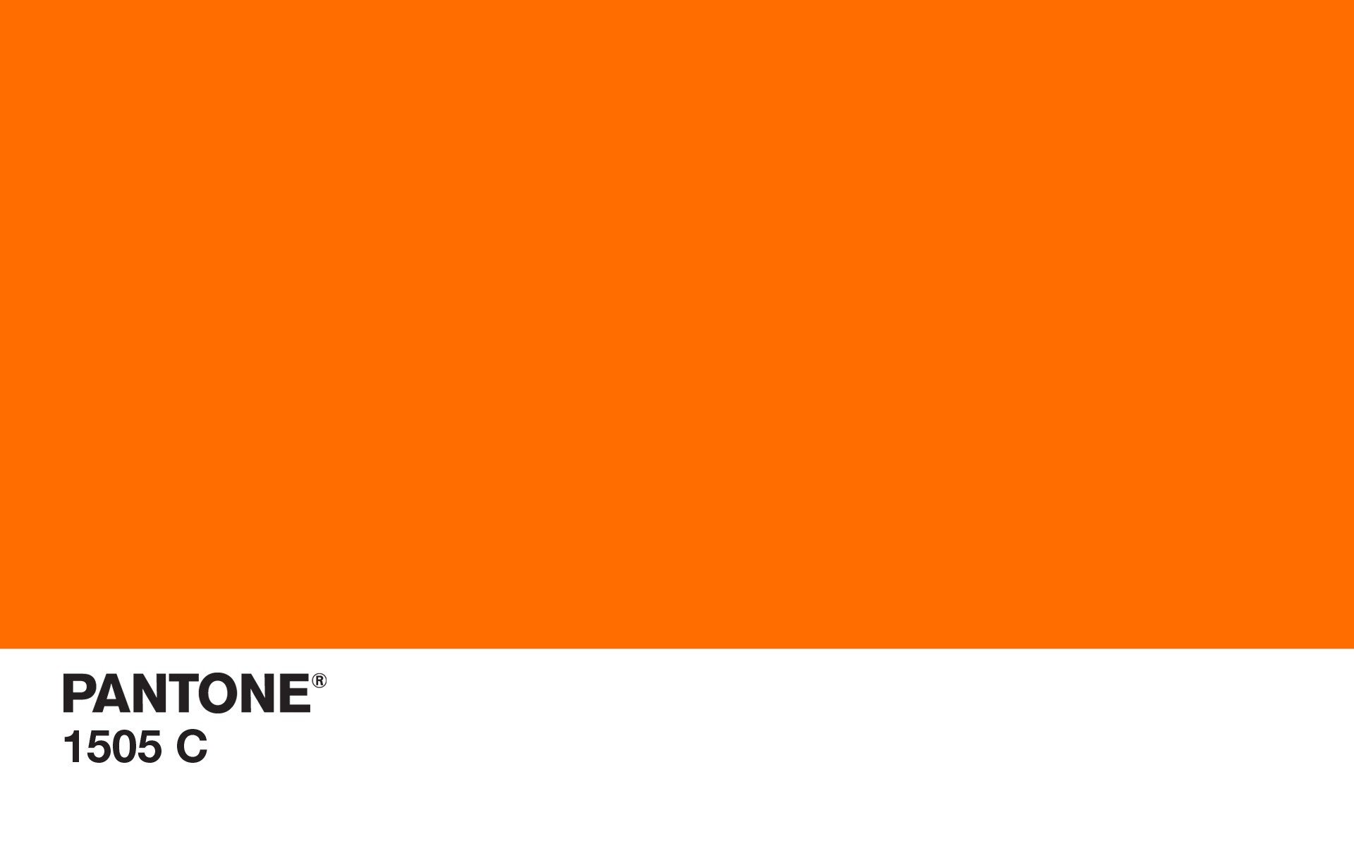 Pantone Orange 021C swatch Pantone orange, Pantone color, Orange color