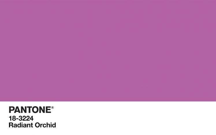 colorful, Color codes, Purple HD Wallpaper Desktop Background