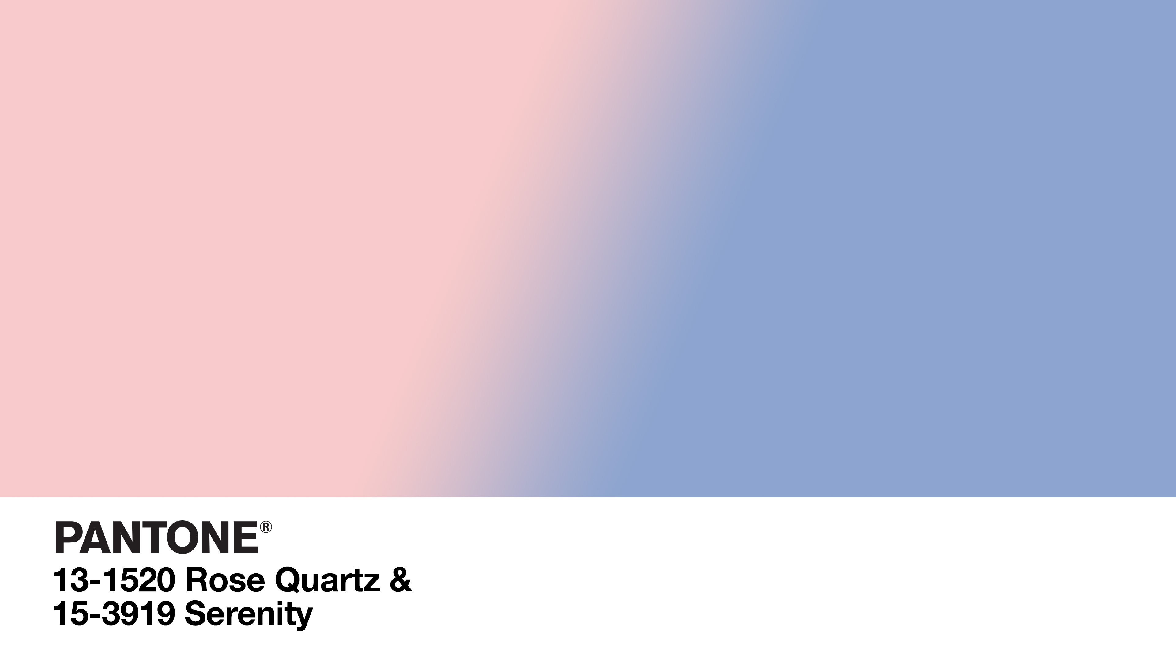 colorful, Color codes, Pink, Purple Wallpaper