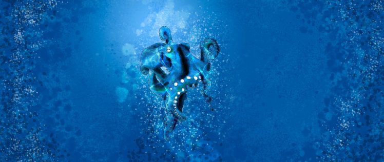 sketck, Octopus, Blue, Paint in water, Painting HD Wallpaper Desktop Background