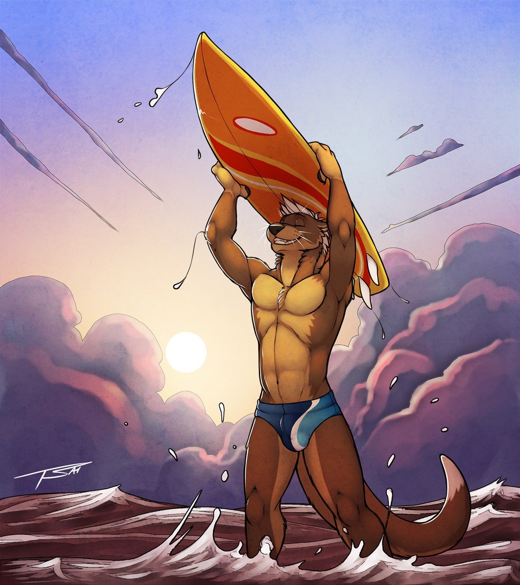 surfers, Furry, Surfboards Wallpaper