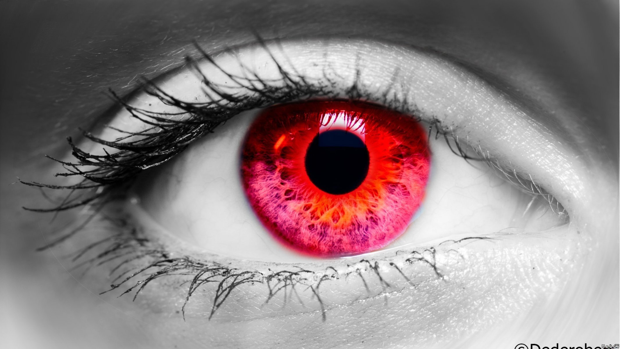 eyes, Selective coloring, Red Wallpapers HD / Desktop and Mobile