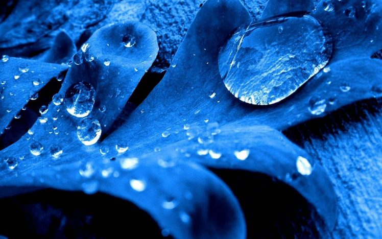 photography, Photo manipulation, Blue, Leaves, Water drops HD Wallpaper Desktop Background