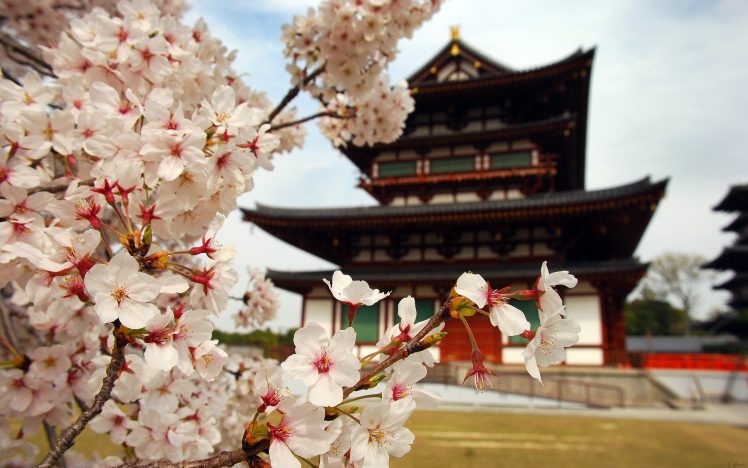 building, Closeup, Asian architecture, Cherry blossom HD Wallpaper Desktop Background