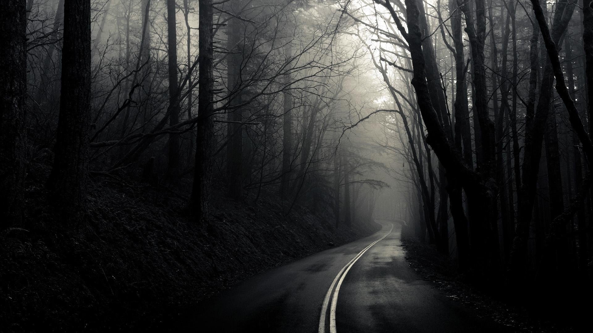 monochrome, Road, Trees Wallpaper