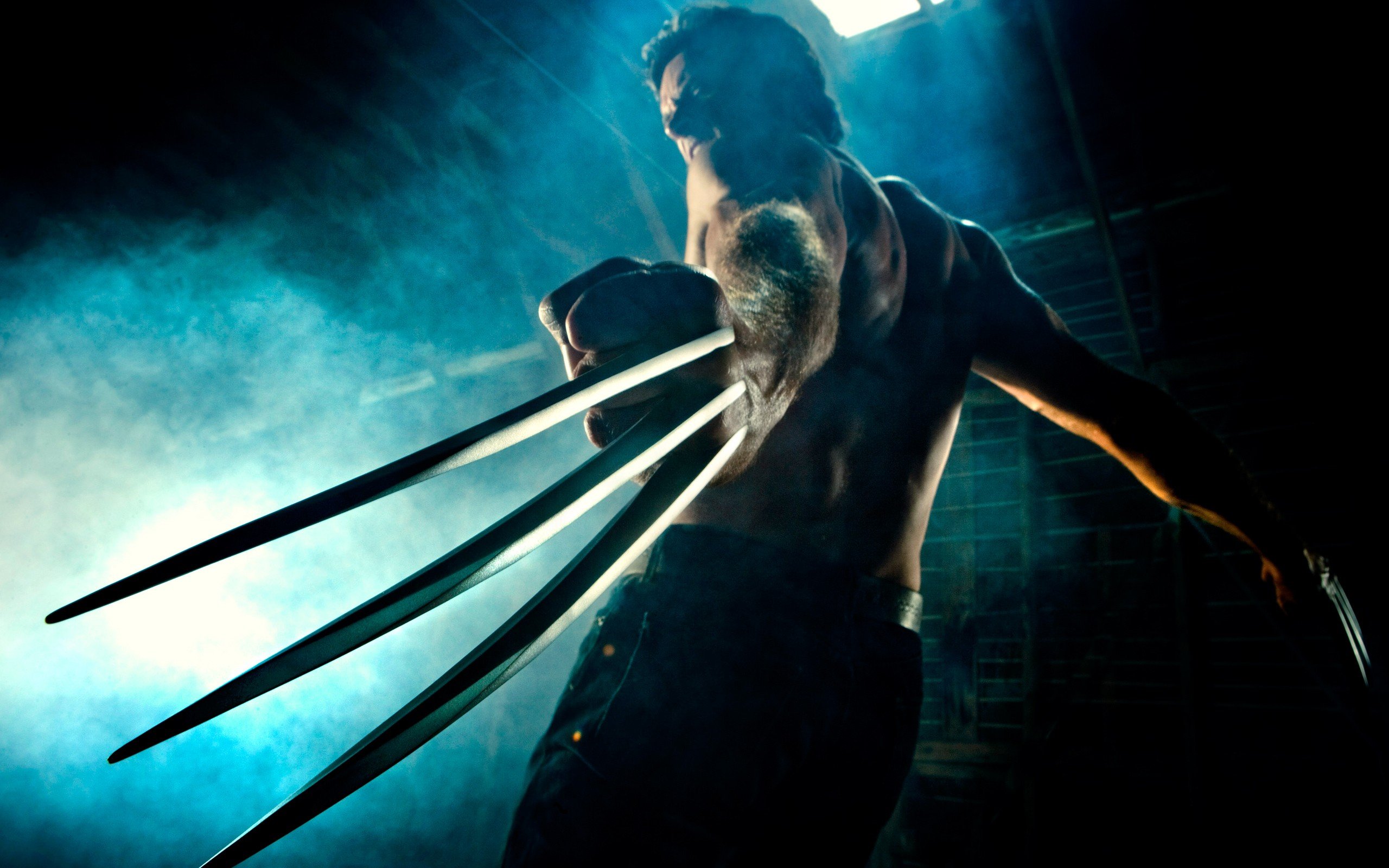 Wolverine Wallpaper