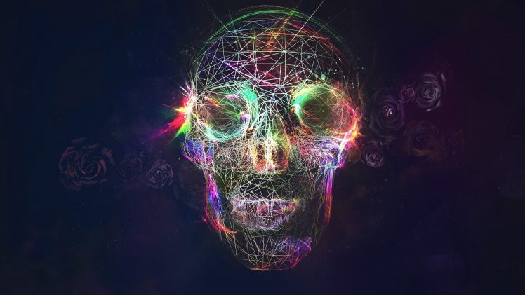 skull, Colorful, Rose HD Wallpaper Desktop Background
