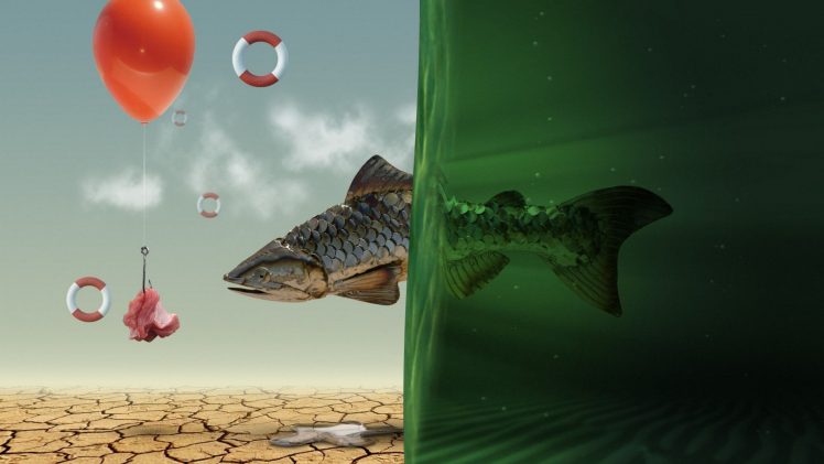 Spec Art, Fish, Balloons, Water, Photoshop HD Wallpaper Desktop Background