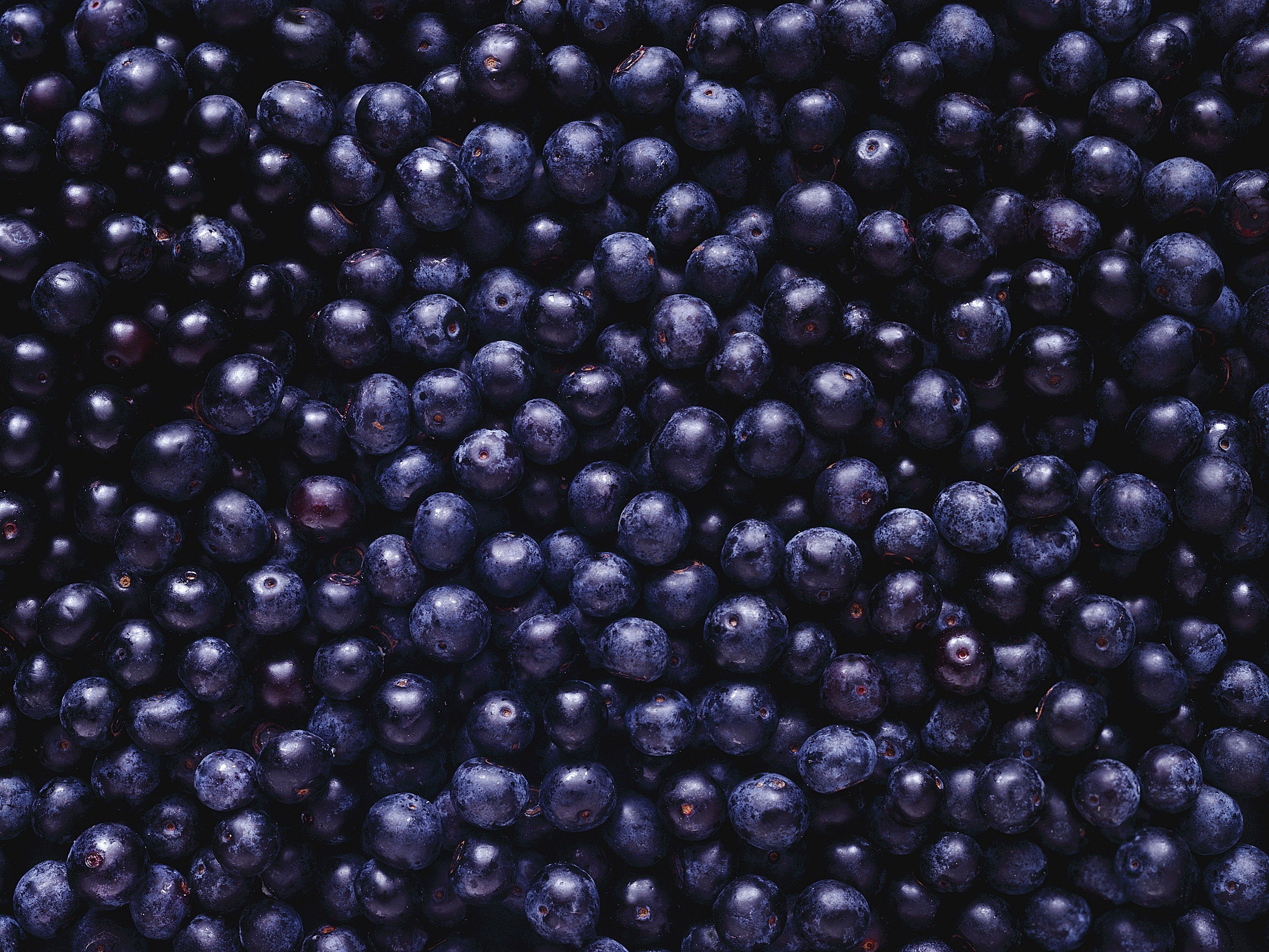 berries, Fruit Wallpaper