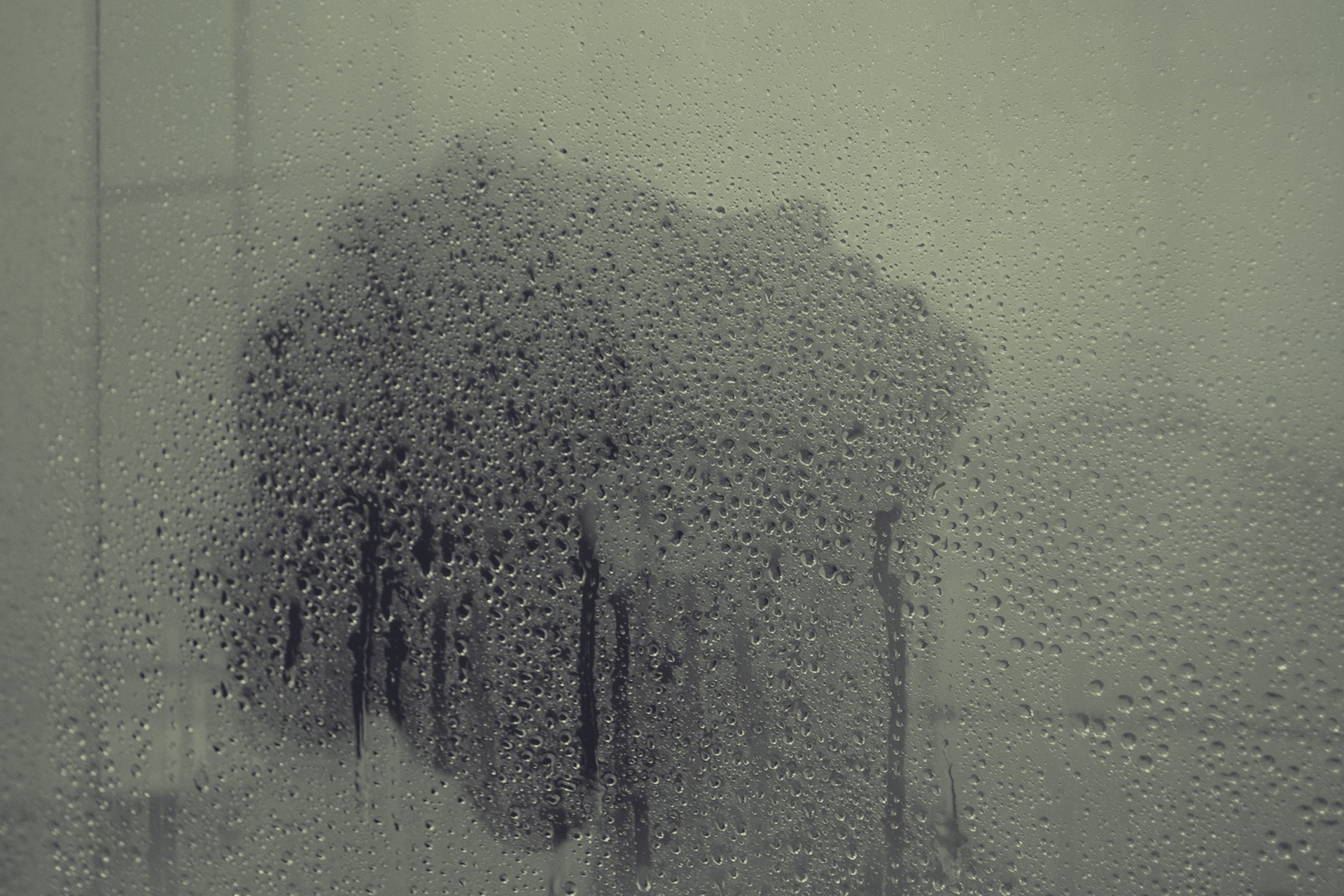 shower Wallpaper