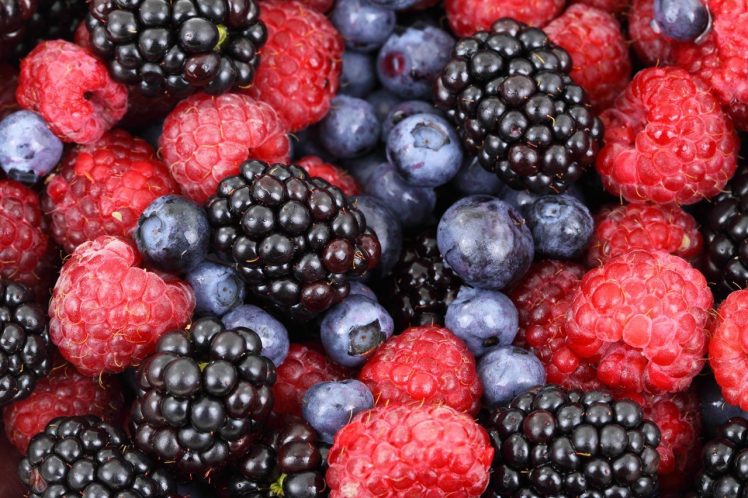 berries, Blackberries, Blueberries, Food, Fruit, Raspberries HD Wallpaper Desktop Background