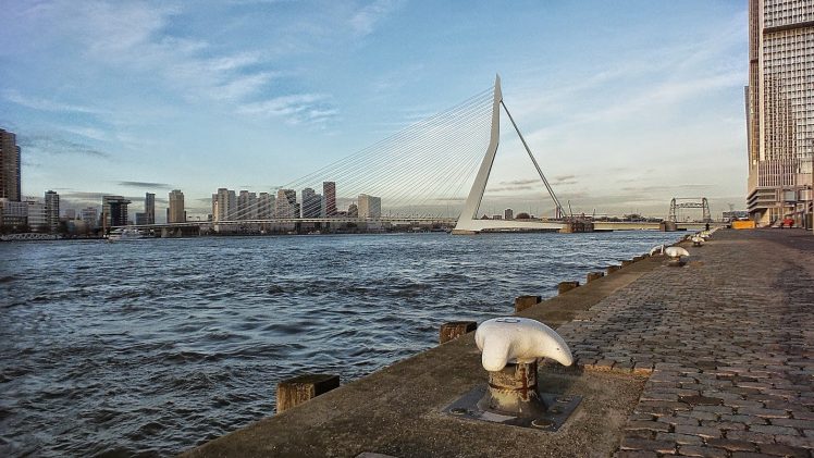 Rotterdam, Bridge HD Wallpaper Desktop Background