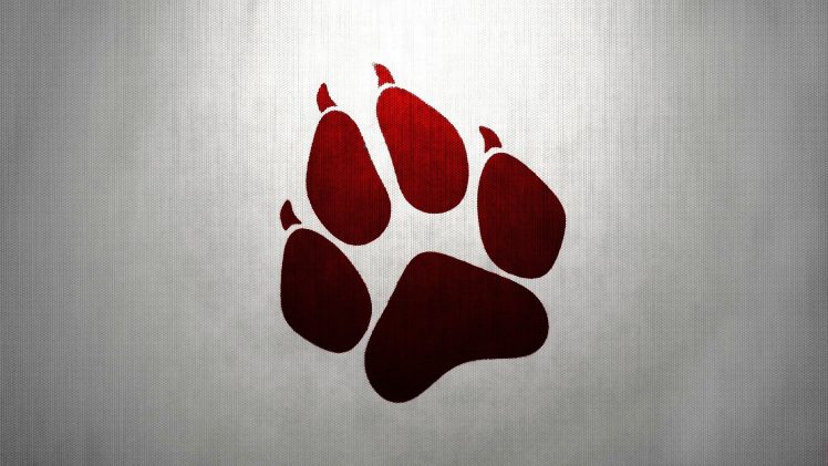 paws HD Wallpaper Desktop Background