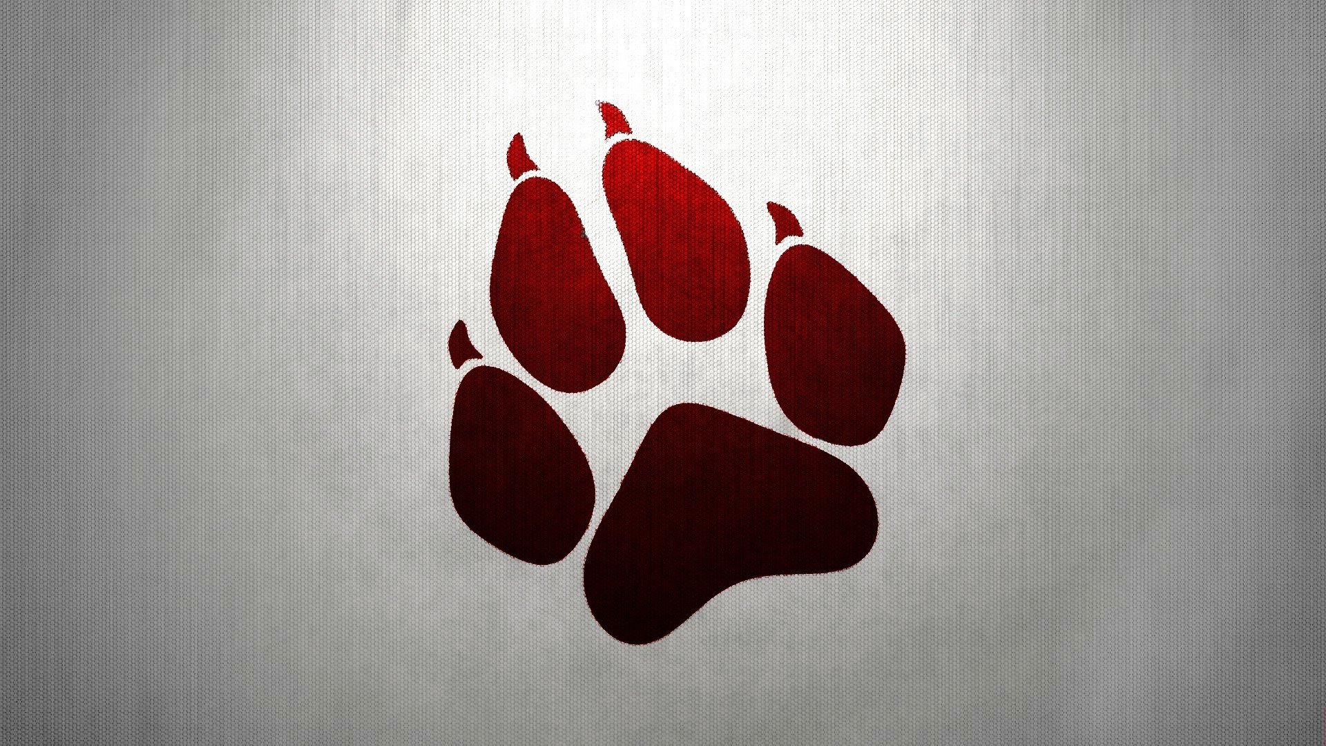 paws Wallpapers HD / Desktop and Mobile Backgrounds