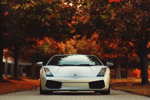 Lamborghini, Gallardo, Trees, Red, Road, Photography, Race cars