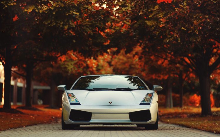 Lamborghini, Gallardo, Trees, Red, Road, Photography, Race cars HD Wallpaper Desktop Background