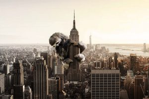 sloths, City, Skyscrapper
