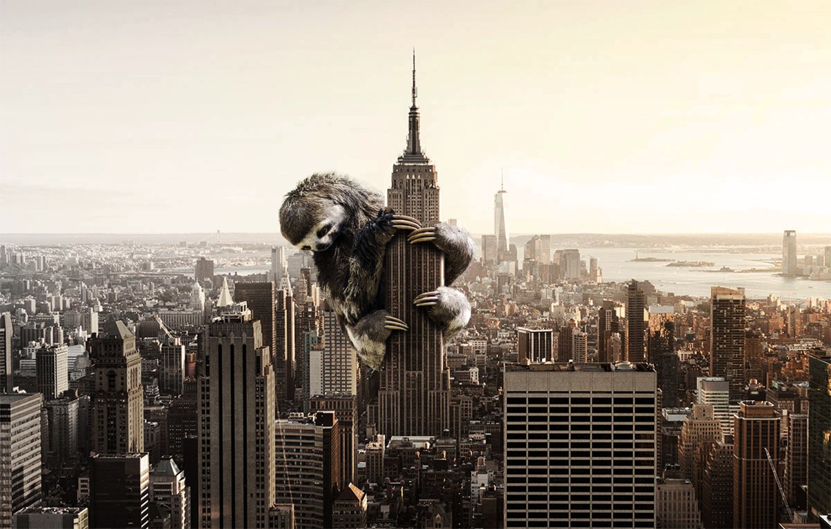 sloths, City, Skyscrapper Wallpaper