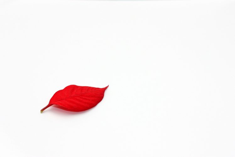 leaves, Red, White, White background, Minimalism, Simple background HD Wallpaper Desktop Background