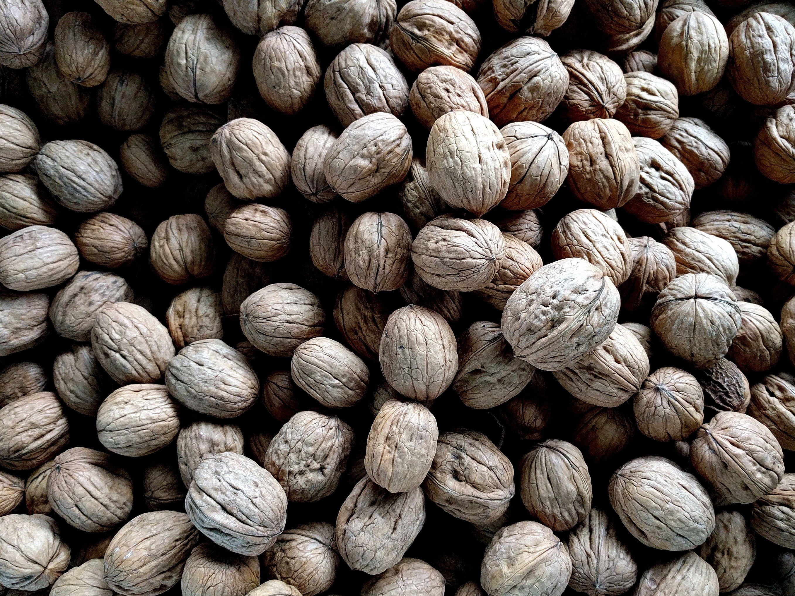 nuts Wallpaper