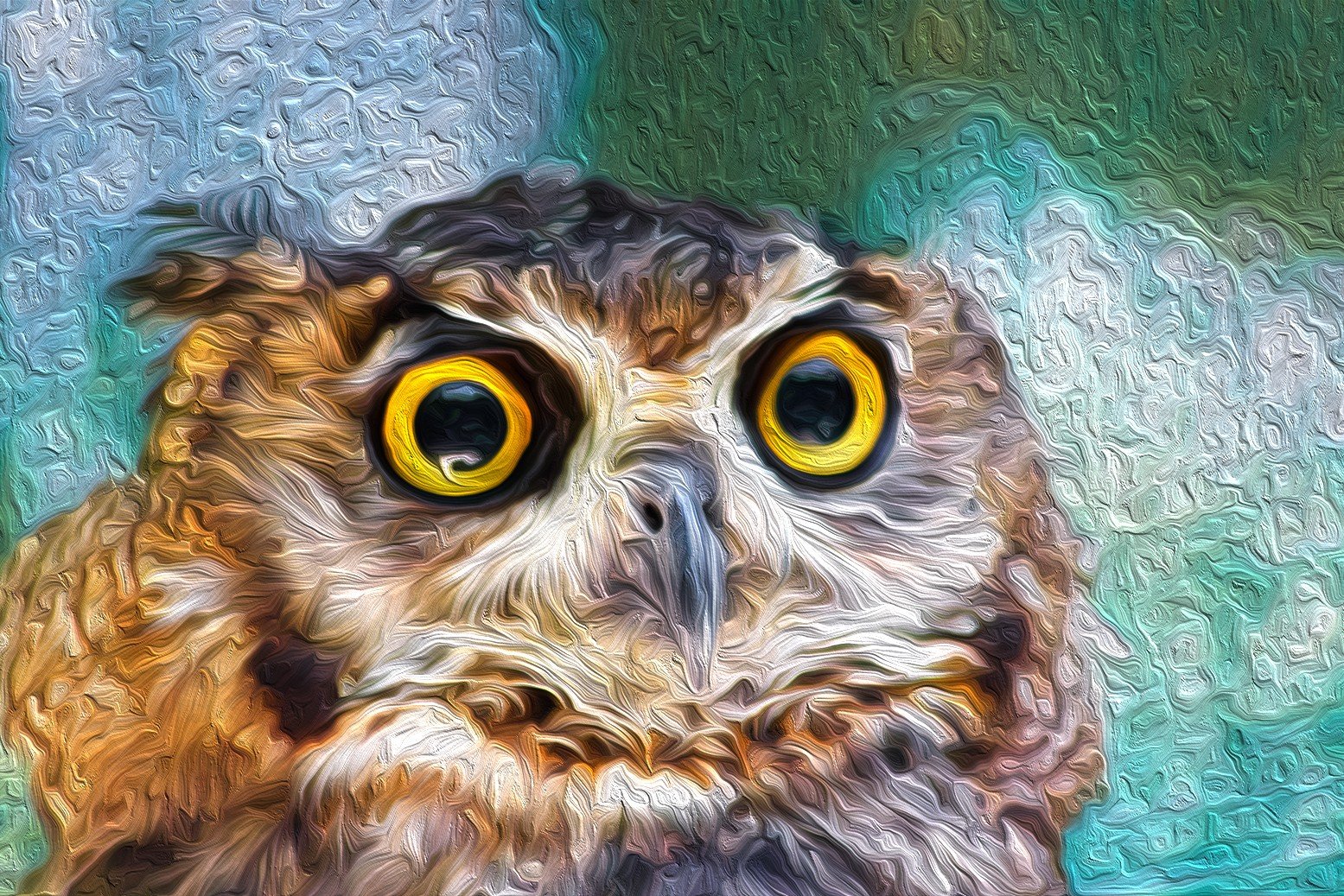 owl Wallpaper