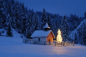 house, Pine trees, Christmas Tree, Lights, Snow