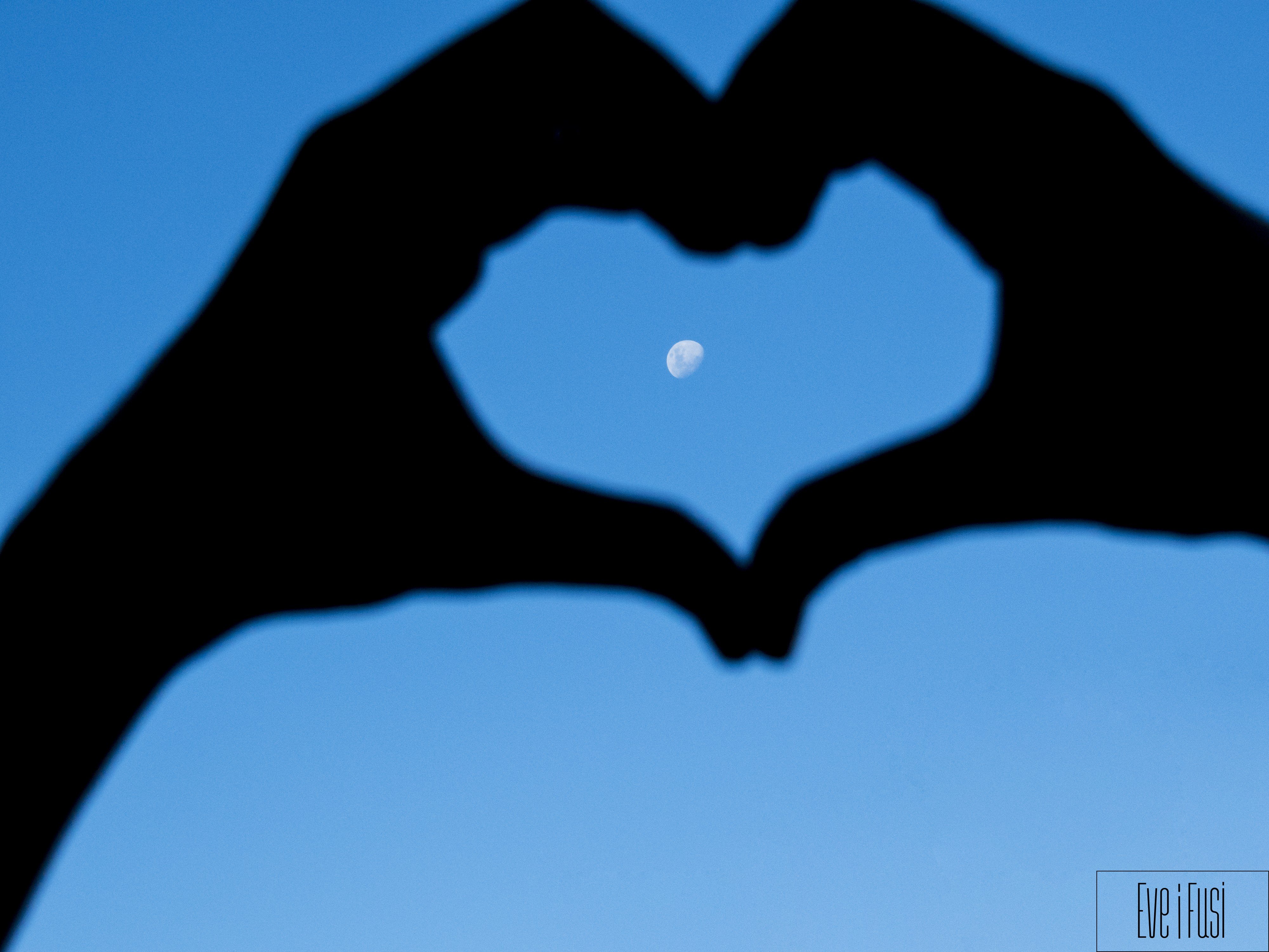 heart, Moon, Love, Blue Wallpaper