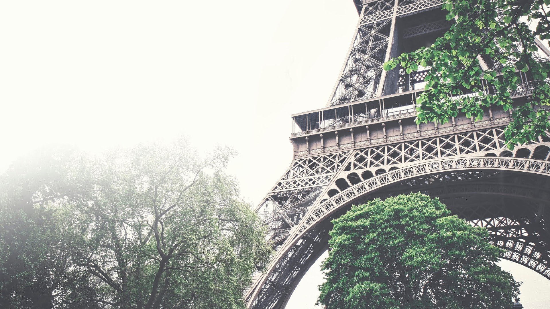 Eiffel Tower, Paris, Trees, Architecture Wallpaper
