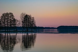 Finland, Water, Lake, Trees, Evening, Reflections, Järvenpää