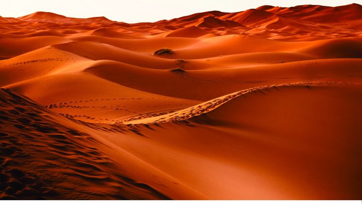 desert, Brown HD Wallpaper Desktop Background