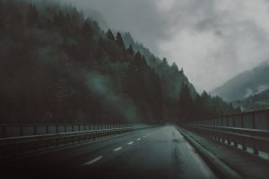 road, Highway, Trees, Mist, Bridge