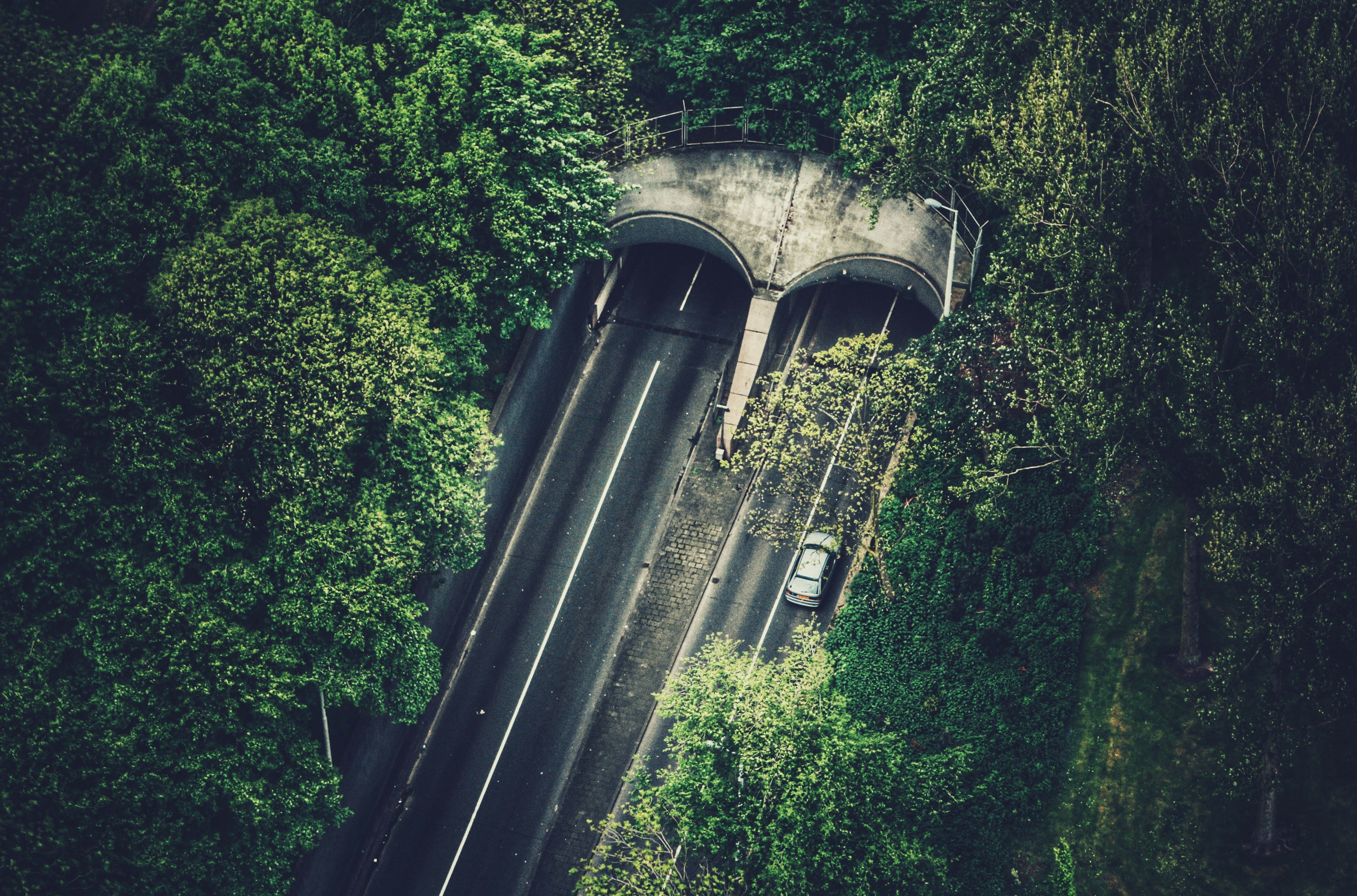 tunnel, Road, Highway, Trees Wallpaper