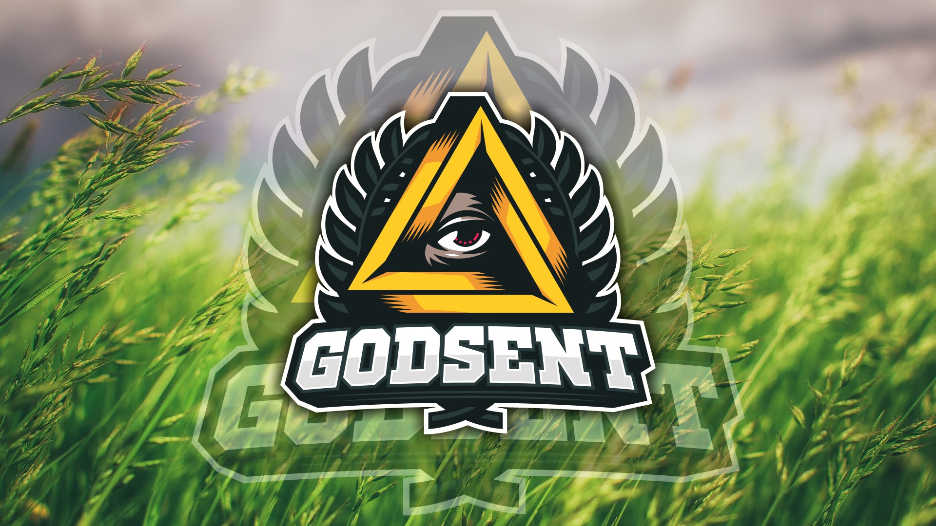 Counter Strike: Global Offensive, GODSENT Wallpaper
