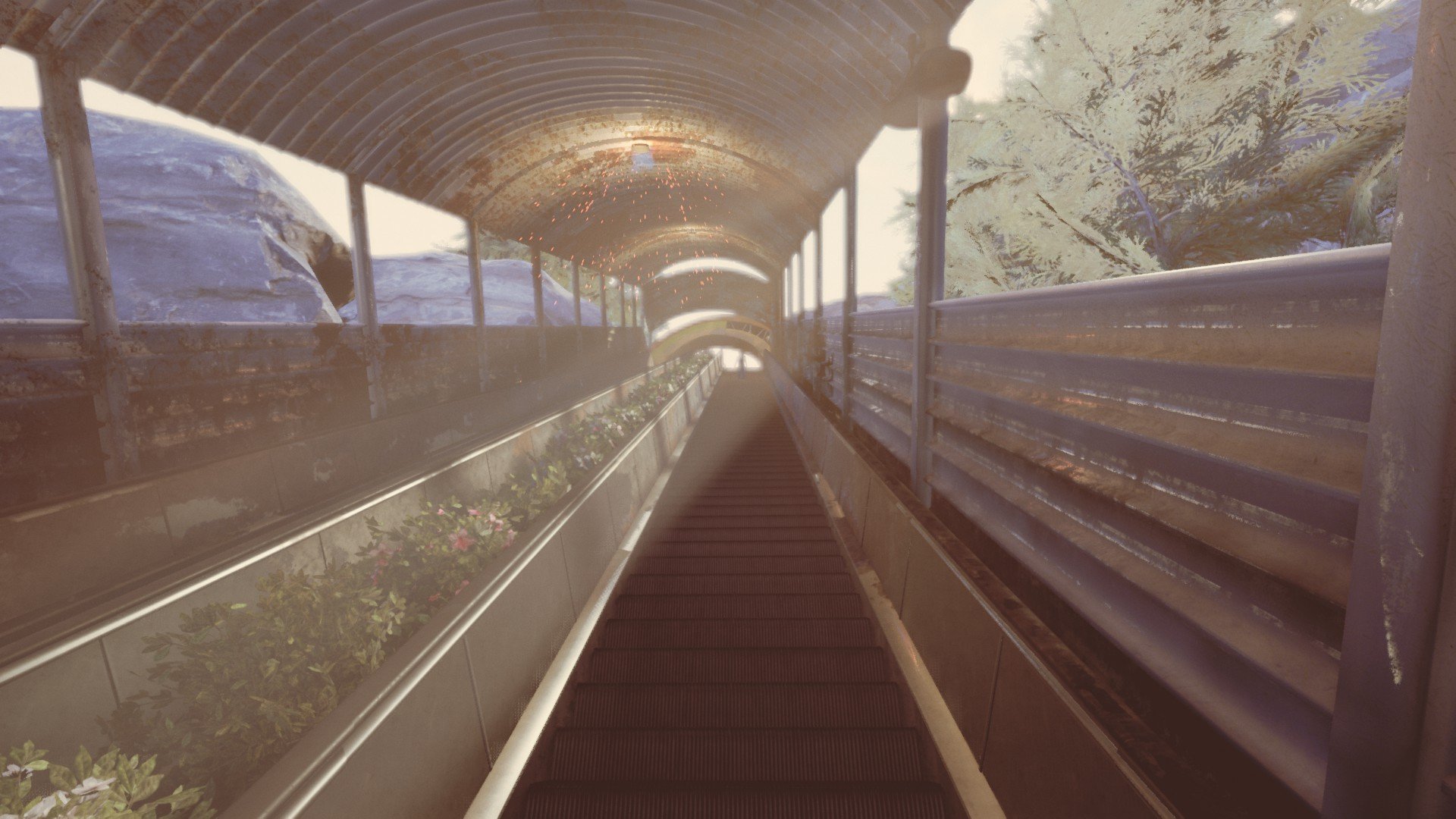 The Park, Horror Wallpaper