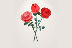 simple background, Vector, Rose