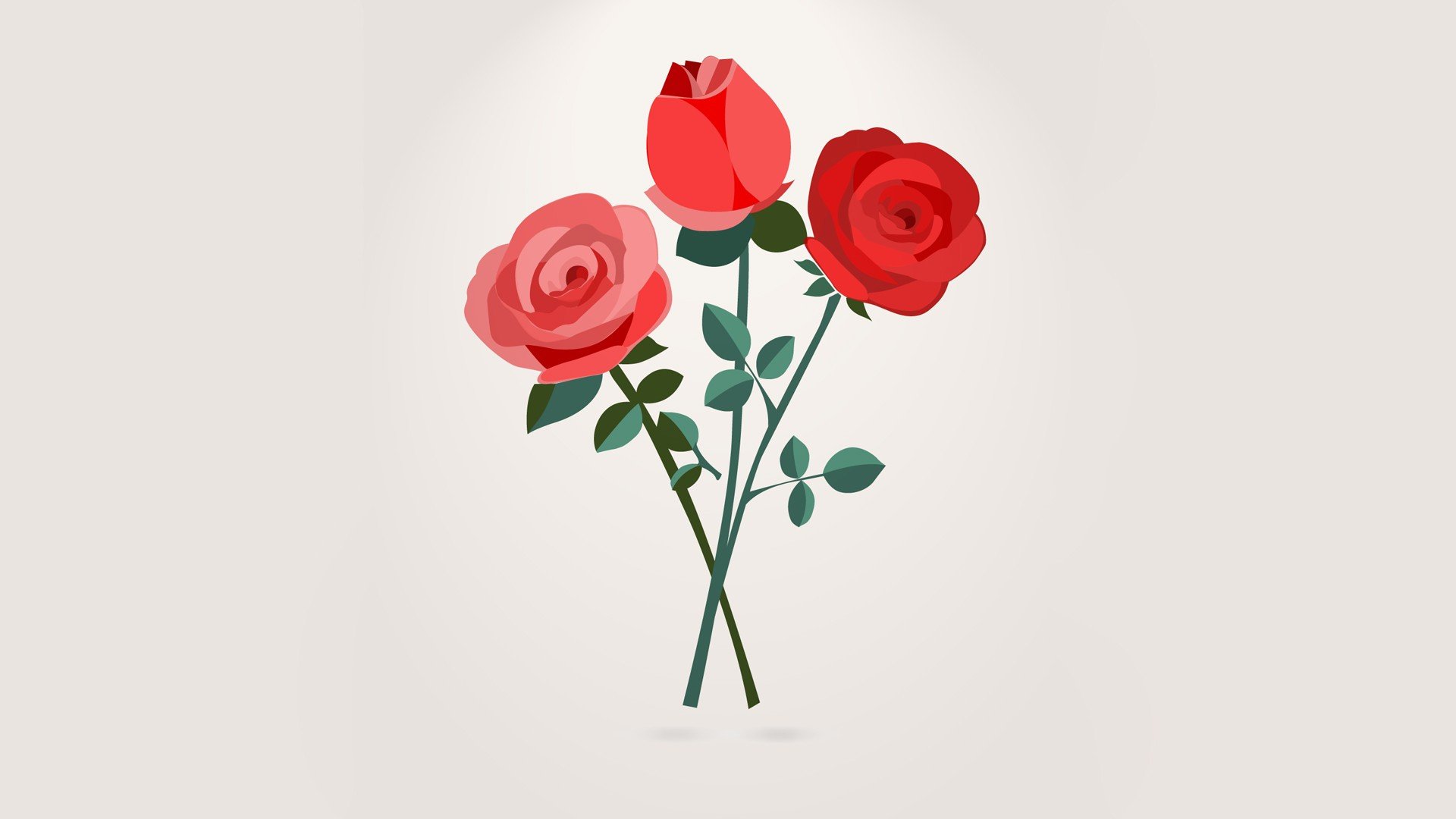 simple background, Vector, Rose Wallpaper