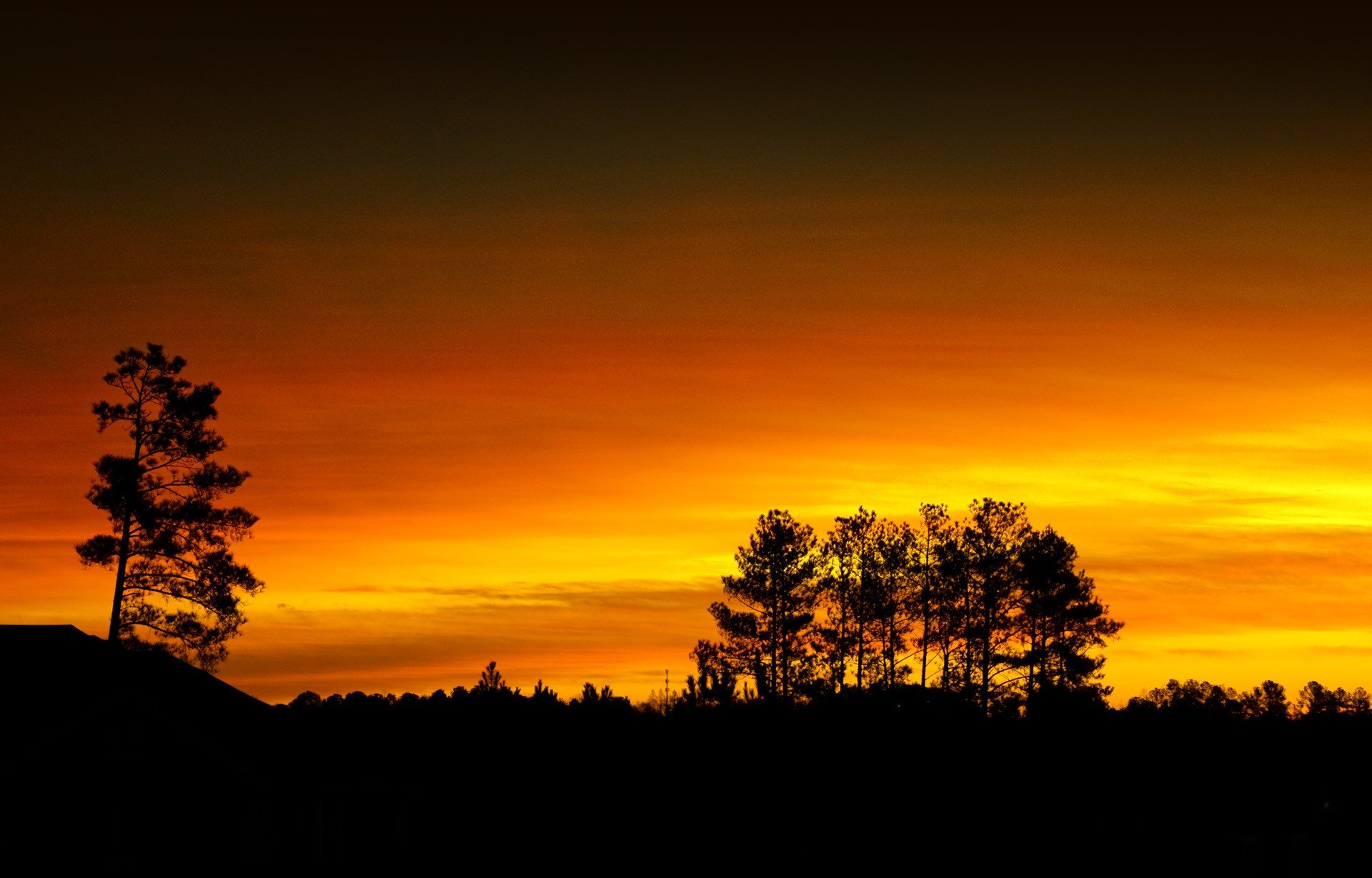 silhouette Wallpaper