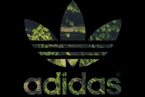 Adidas, Logo, Leaves