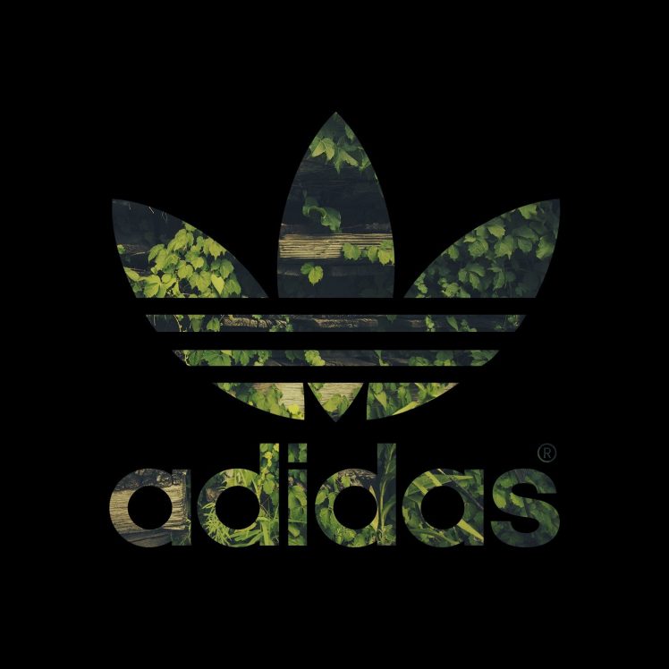 Adidas, Logo, Leaves HD Wallpaper Desktop Background