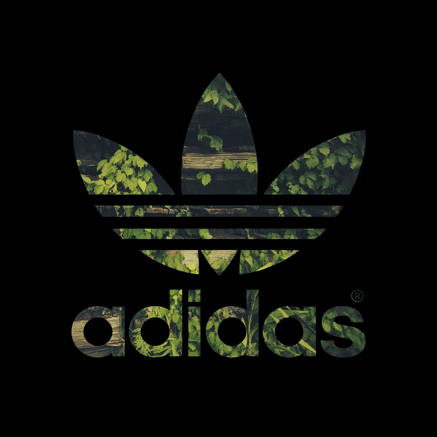 Adidas, Logo, Leaves Wallpaper