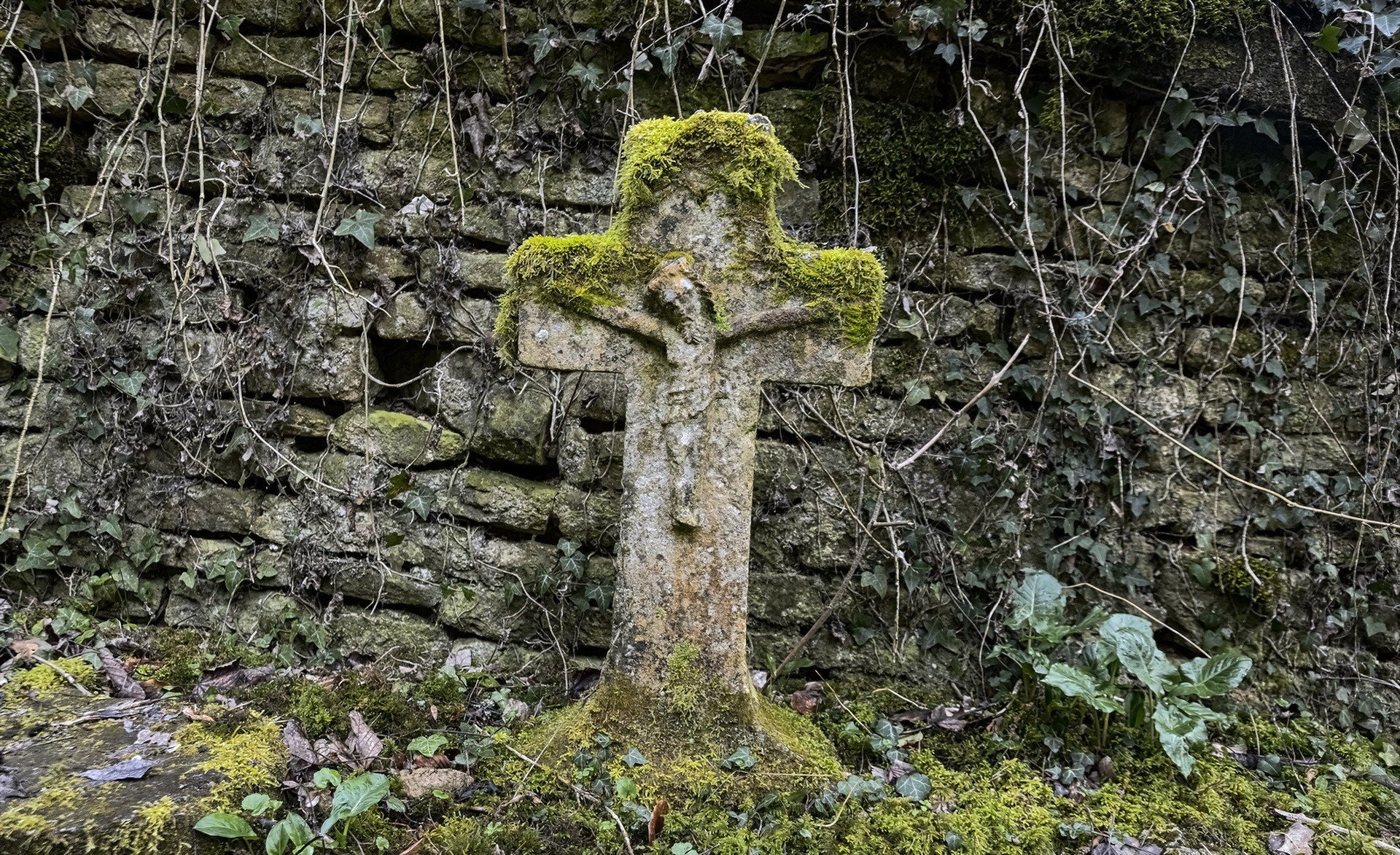 cross, Cemetery, Moss, Jesus Christ Wallpaper