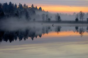 mist, Lake, Photography, Evening, Reflection